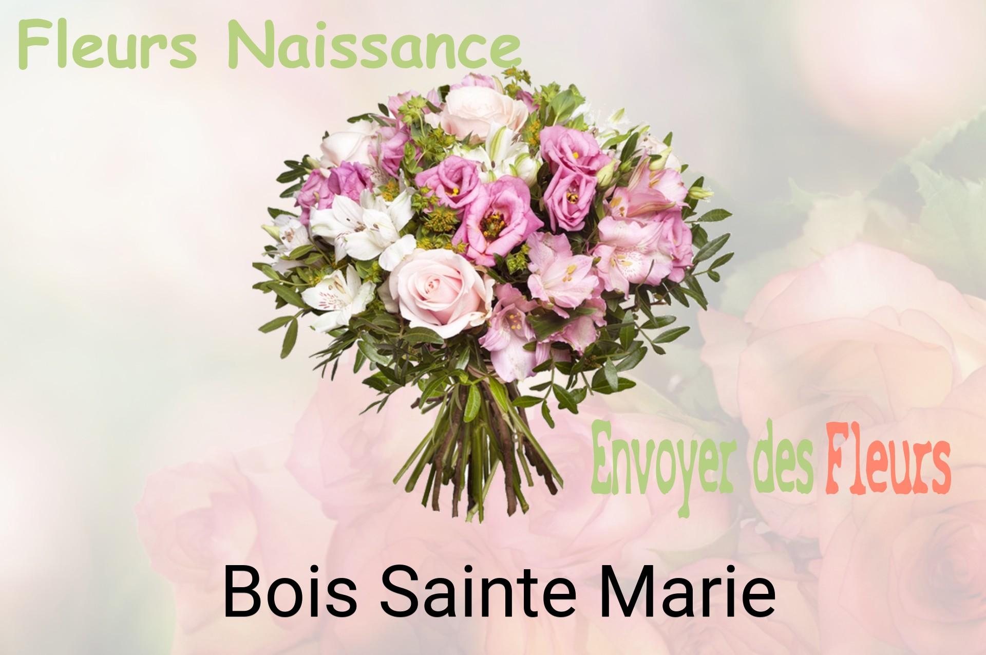 Bouquet de fleurs de naissance livré à Bois-Sainte-Marie